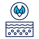 Cancer screening and preventive oncology in Bangalore